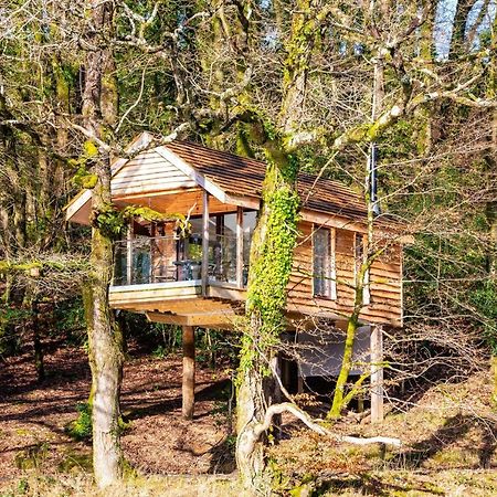 Finest Retreats - The Tree House - Eco-Friendly, Back To Nature Experience Germansweek Dış mekan fotoğraf