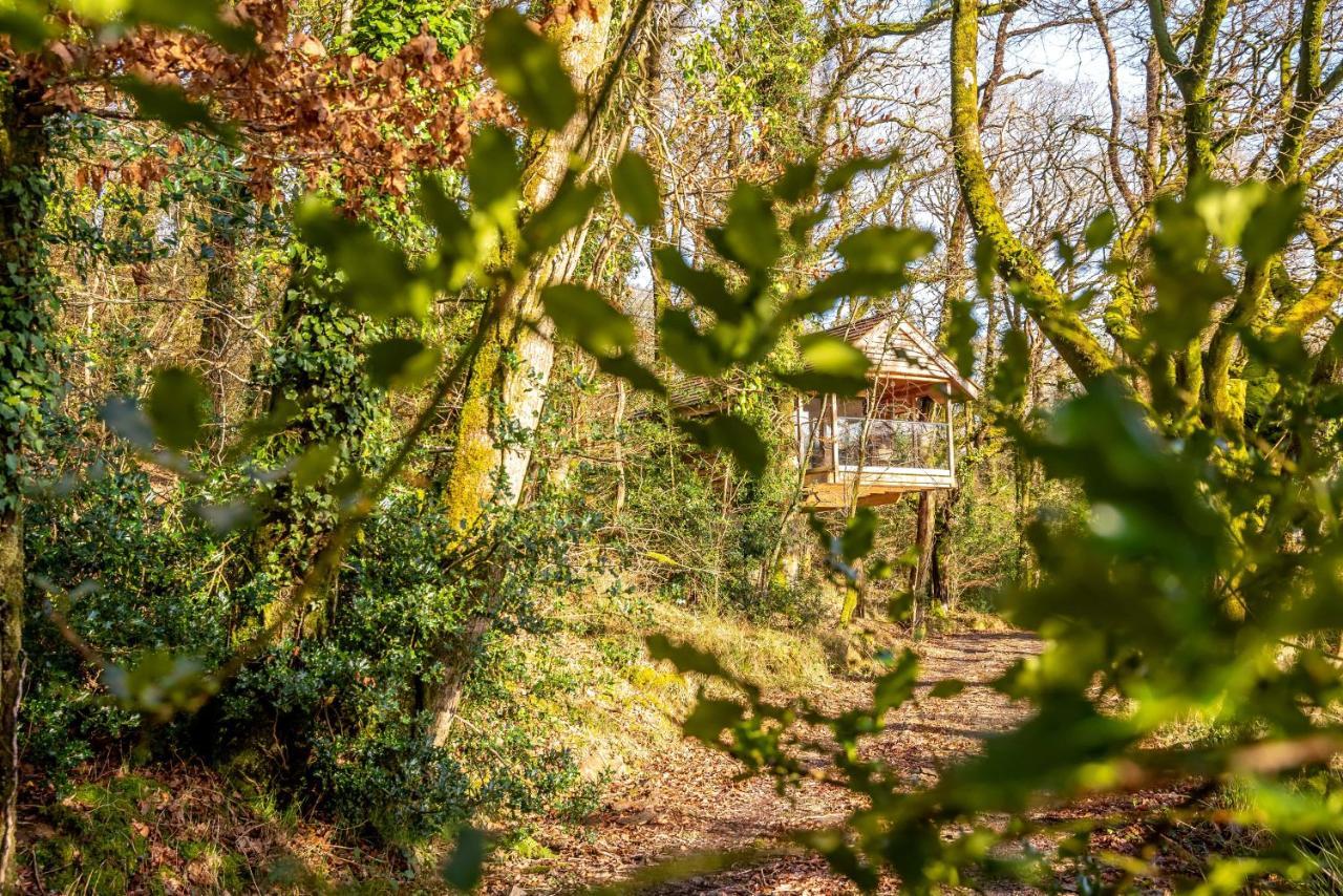 Finest Retreats - The Tree House - Eco-Friendly, Back To Nature Experience Germansweek Dış mekan fotoğraf